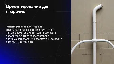 Ориентирование и мобильность для незрячих с помощью тростей