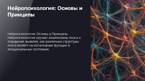 Нейропсихология, презентация на английском