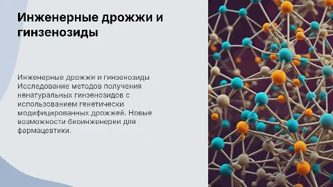 Выработка ненатуральных гинзенозидов на базе инженерных дрожжей