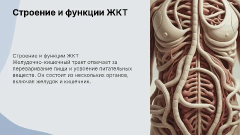 Строение и функции желудочно-кишечного тракта