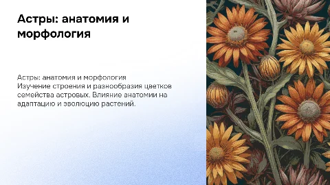 Семейство астровые: анатомия и морфология цветков