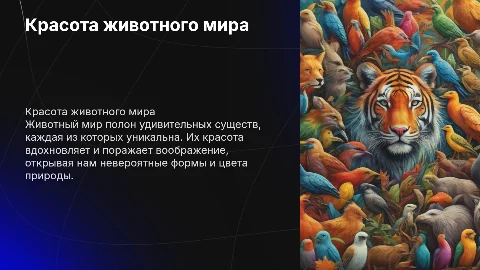 Красота животного мира