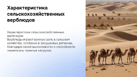 Характеристика верблюда сельско хозяйственных