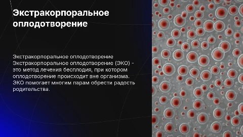 экстракорпоральное оплодотворение