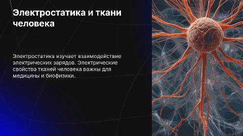 Электростатика и электрические свойства тканей человека