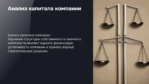Анализ собственного и заемного капитала компании