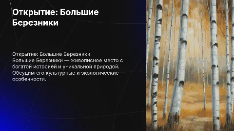 Большие Березники