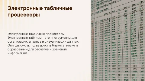 Электронные табличные процессоры: назначение и примеры использования