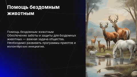 помощь бездомным животным