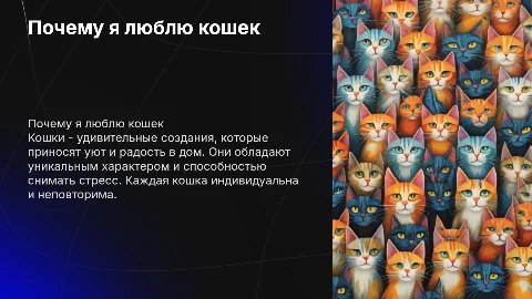Люблю кошек