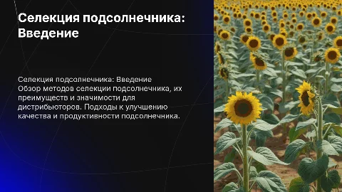 Информация о селекции подсолнечника для дистрибьюторов