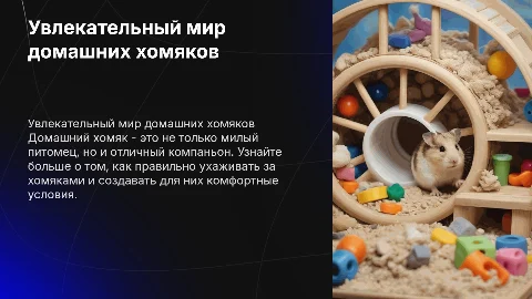 Домашний хомяк