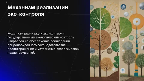 Государственный экологический контроль: механизм реализации