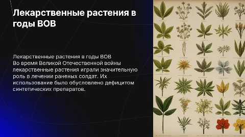 Лекарственное растительное сырье в лечении в годы ВОВ