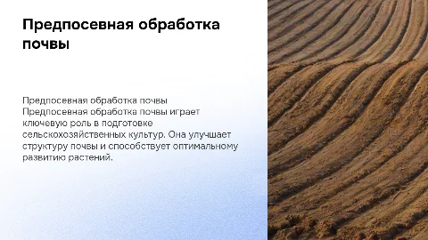 Предпосевная обработка почвы