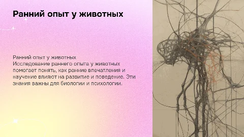 Ранний опыт у животных: влияние на развитие и поведение
