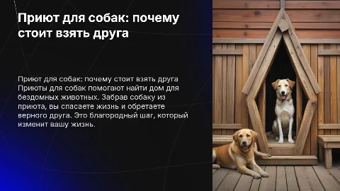 Презентация про приют для собак и почему их стоит брать