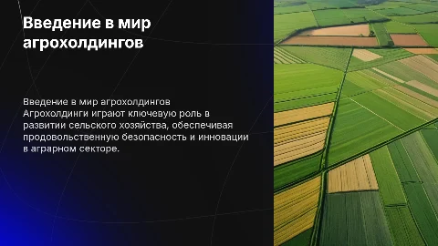 Агрохолдинг