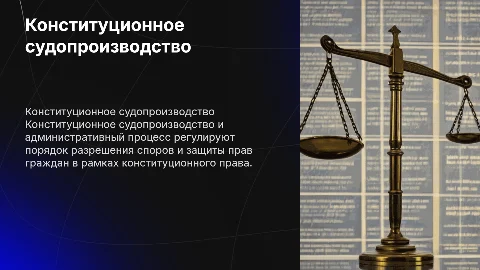 Конституционное судопроизводство и административный процесс