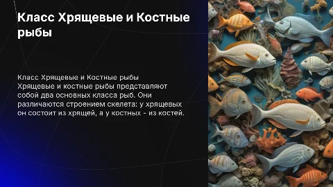 Класс Хрящевые и Костные рыбы
