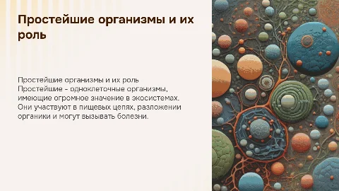 Простейшие: жизнедеятельность и значение в природе