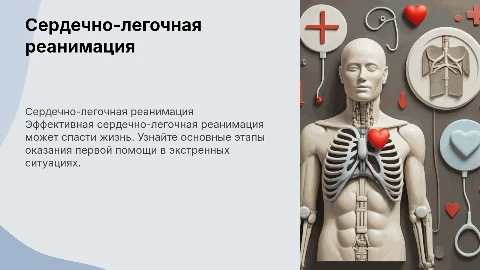сердечно-легочная реанимация(оказание первой помощи поэтапно)