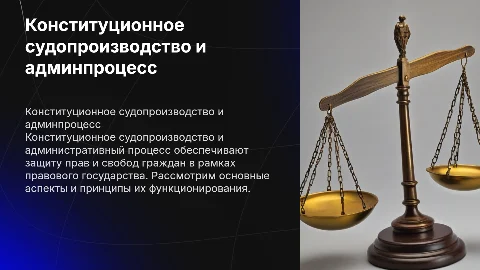 конституционное судопроизводство. Административный процесс