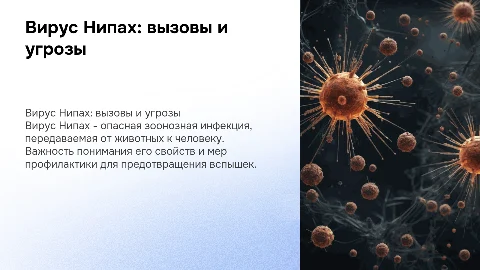 Вирус Нипах
