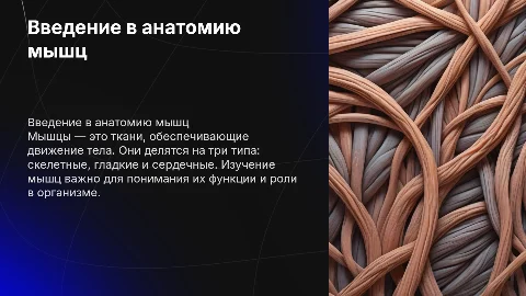 Мышцы
