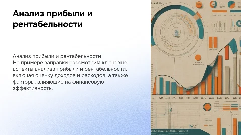Анализ прибыли и рентабельности, на примере заправки