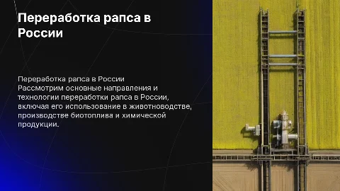 Переработка рапса: технологии и направления в России