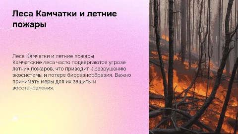 Защита лесов Камчатки от летних пожаров