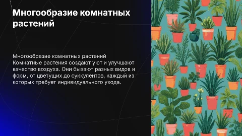 многообразие комнатных растений