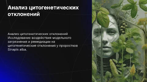 Анализ цитогенетических отклонений у Sinapis alba