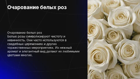 белые розы