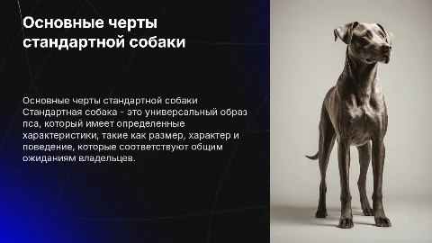 Стандартная собака