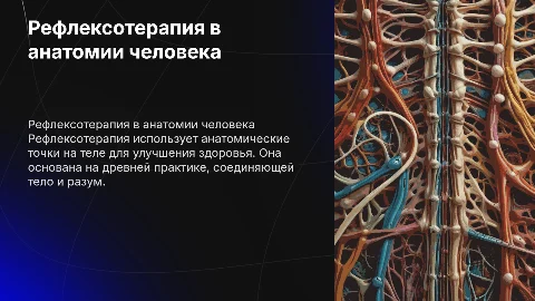 Рефлексотерапия в анатомии