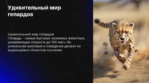Гепард