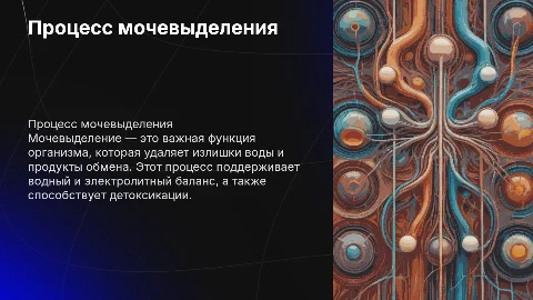 Мочевыделение