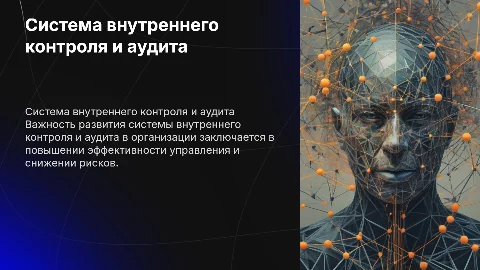 Развитие системы внутреннего контроля и аудита в организации