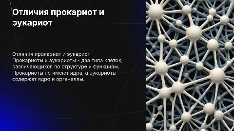 Прокариоты и эукариоты отличия