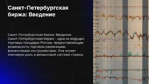Санкт-Петербургская биржа