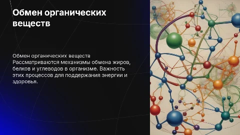Обмен органических веществ – жиров, белков, углеводов