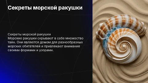 секреты морской ракушки