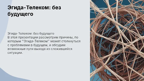 Эгида-Телеком, без будущего компании
