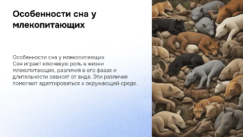 Особенности сна у разных млекопитающих