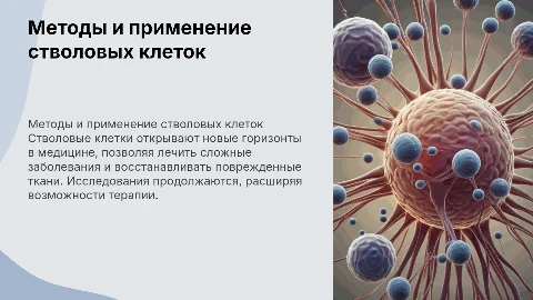Методы получения и использования стволовых клеток в медицине