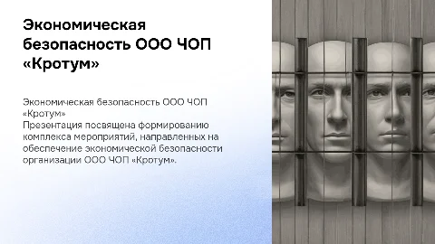 Презентация на защиту диплома по экономической безопасности