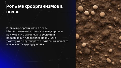 роль микроорганизмов в почве