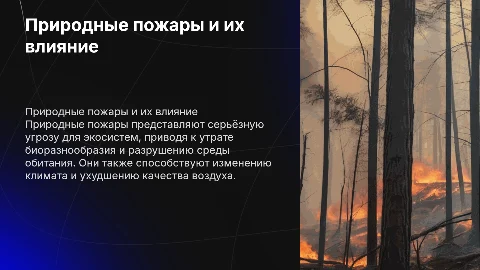 природные пожары и опасность для окружающей среды